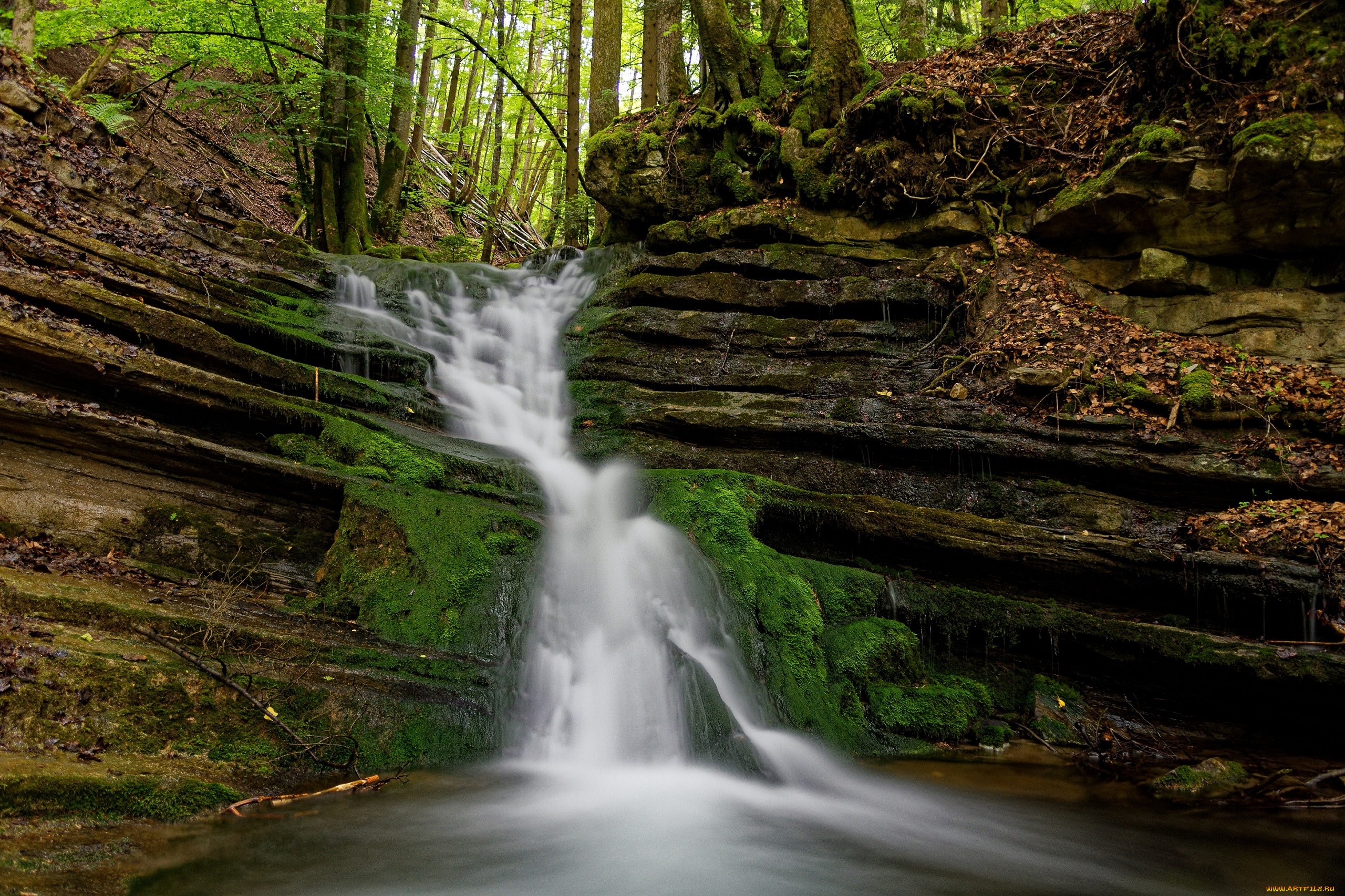 �������, ��������, ������